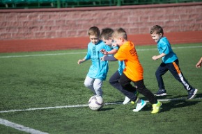 Фотографии принадлежат интернет-порталу bobr.by