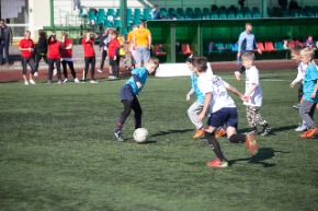 Фотографии принадлежат интернет-порталу bobr.by